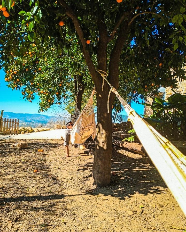 Verde Agua Agroturismo E Agricultura Biologica Couto Dış mekan fotoğraf