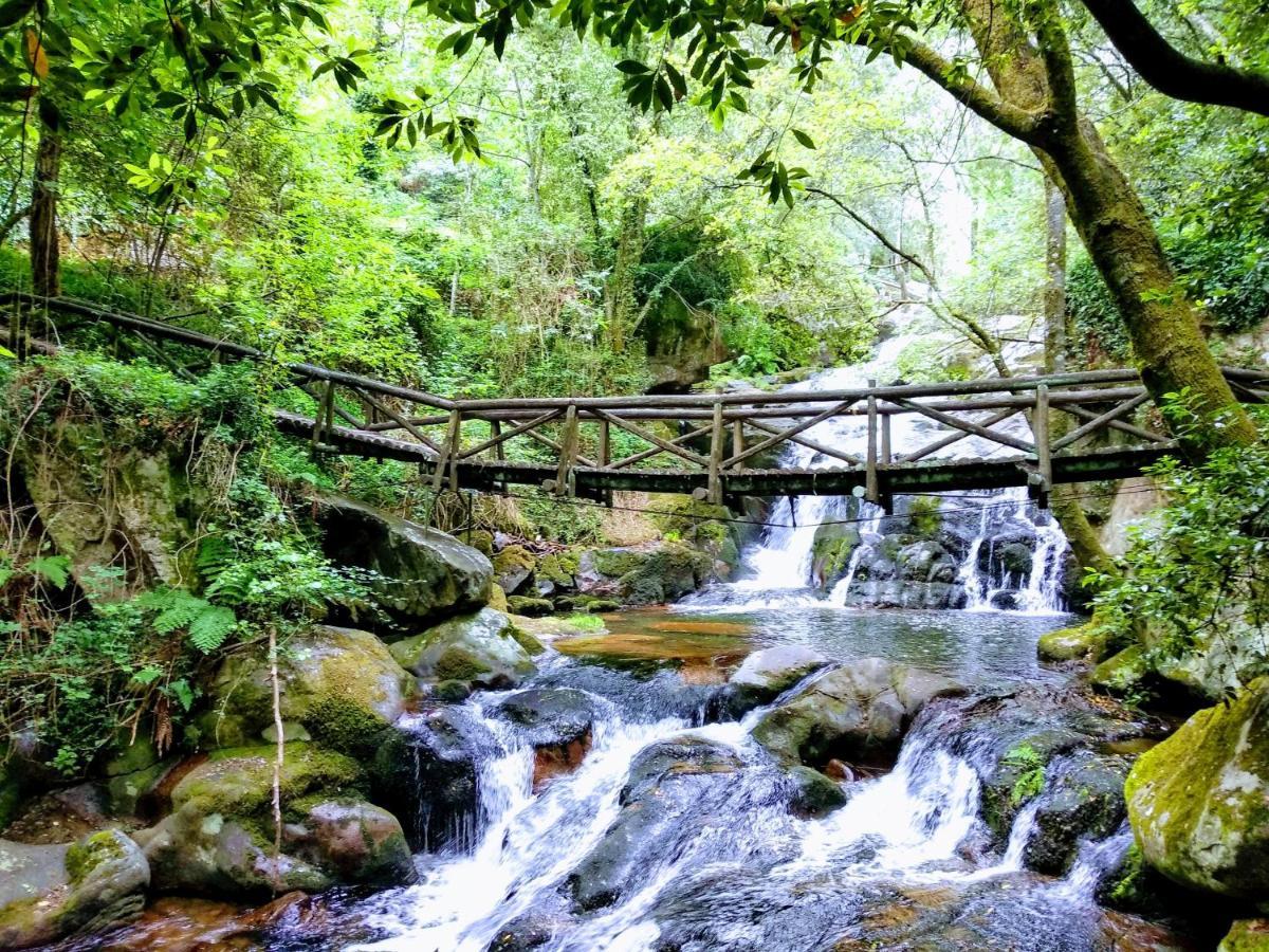 Verde Agua Agroturismo E Agricultura Biologica Couto Dış mekan fotoğraf