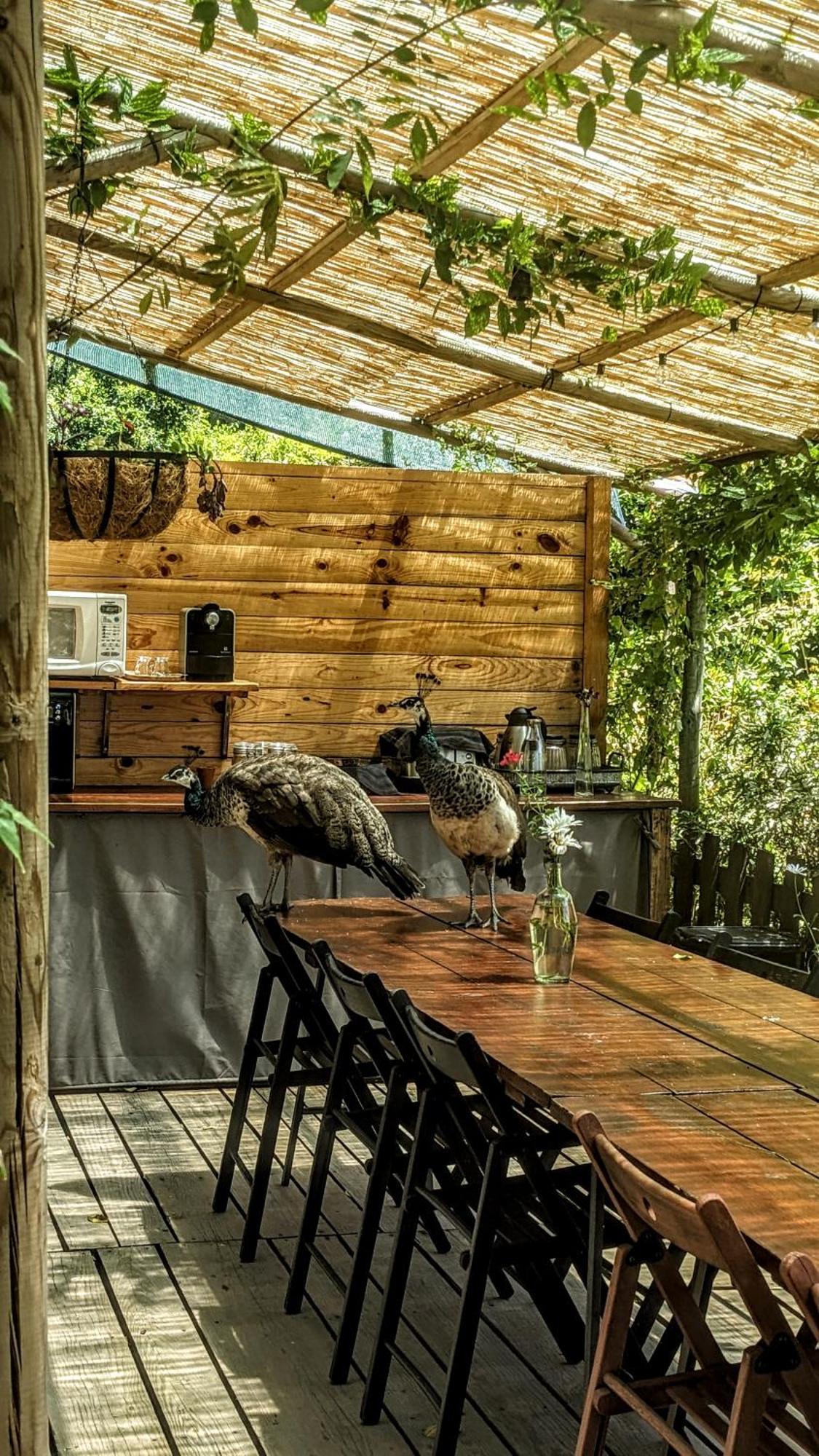 Verde Agua Agroturismo E Agricultura Biologica Couto Dış mekan fotoğraf